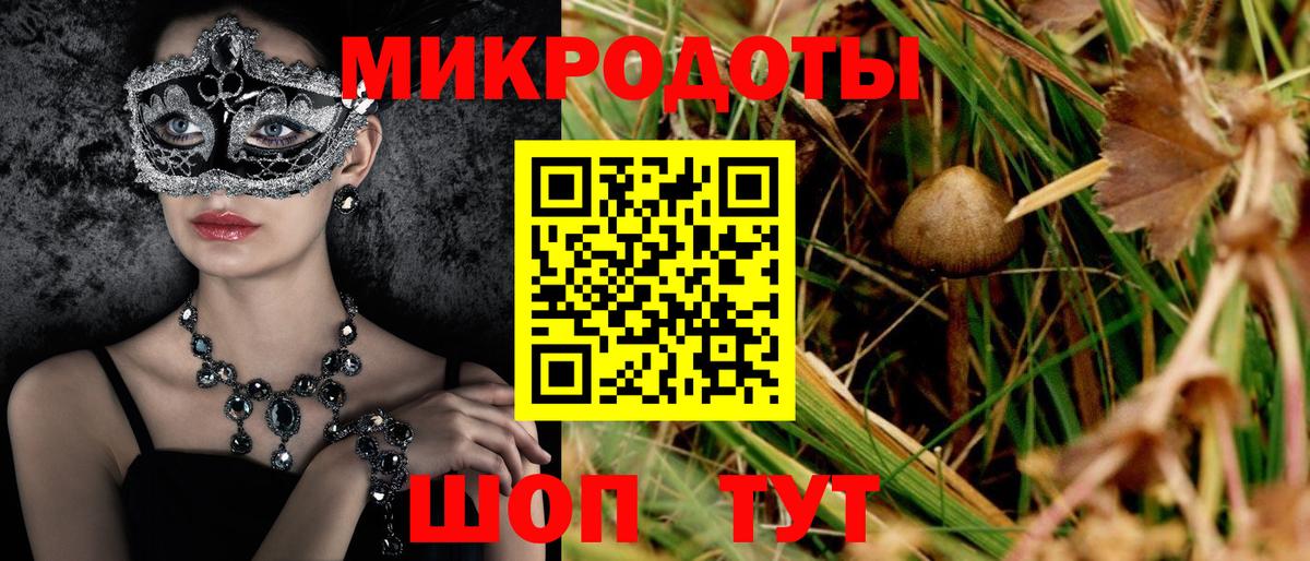 Благодарный  Галлюциногенные грибы мицелий  купить  цена  Псилоцибиновые грибы ЛСД  Вход с VPN 