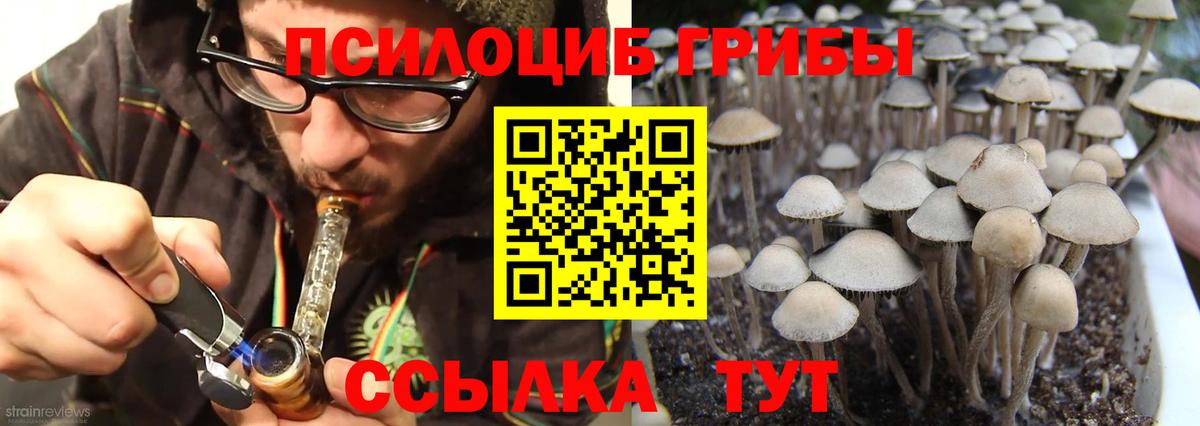 Псилоцибиновые грибы прущие грибы Благодарный